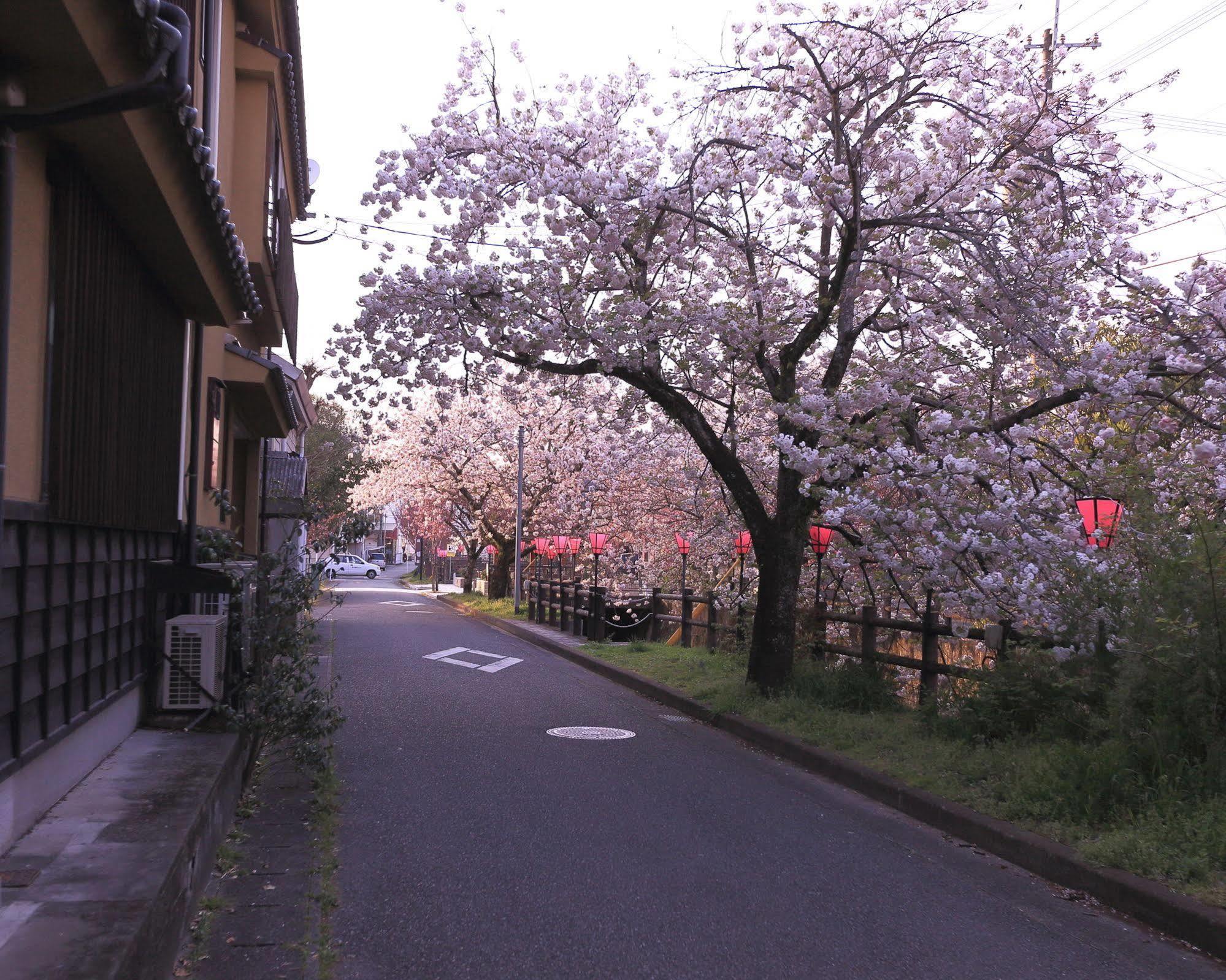 Tabi No Yado Satsuki Hita Exterior foto