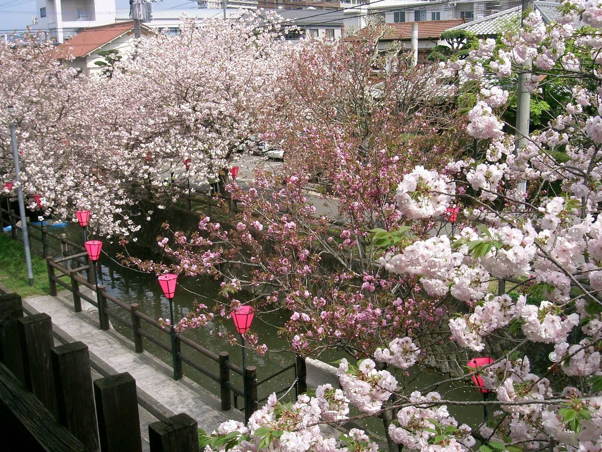 Tabi No Yado Satsuki Hita Exterior foto